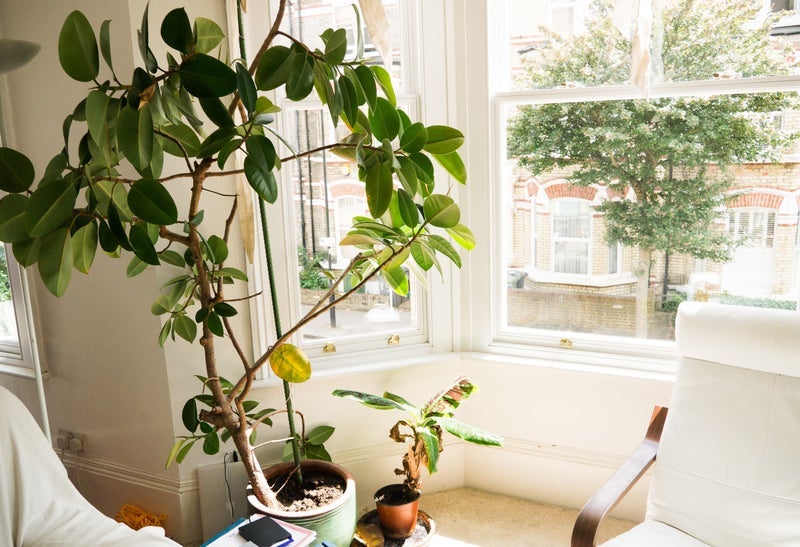 Flat Sandmere Road in Greater London