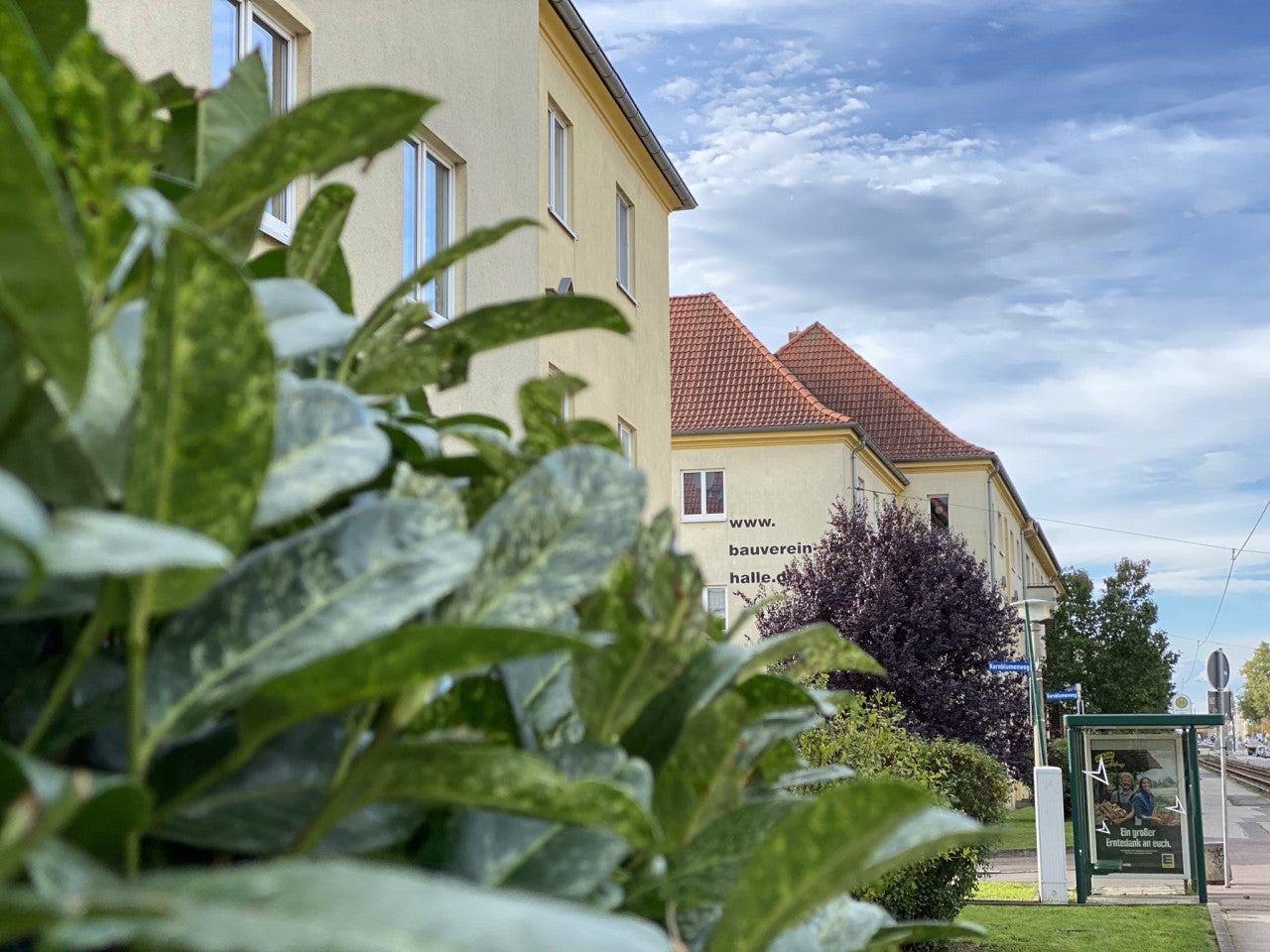 Wohnung Dessauer Straße in Halle (Saale)