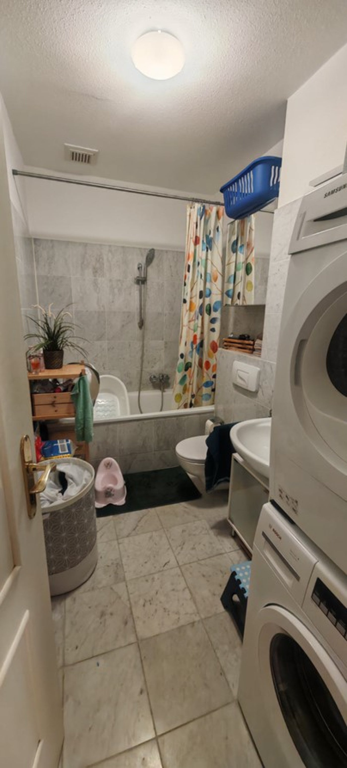 Wohnung Kesselsdorfer Straße in Dresden