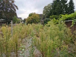 Wohnung Straußstraße in Dortmund