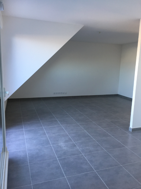 Appartement Rue de Hegenheim à Hégenheim