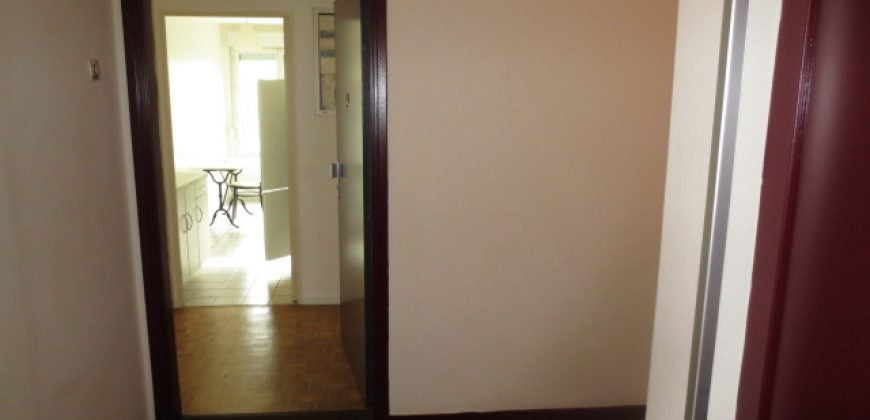 Appartement Avenue Félix Faure à Lyon