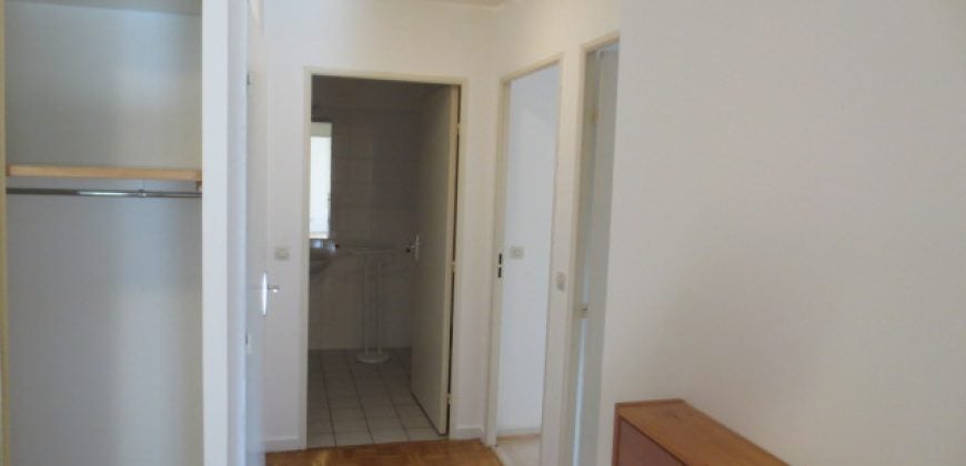 Appartement Avenue Félix Faure à Lyon
