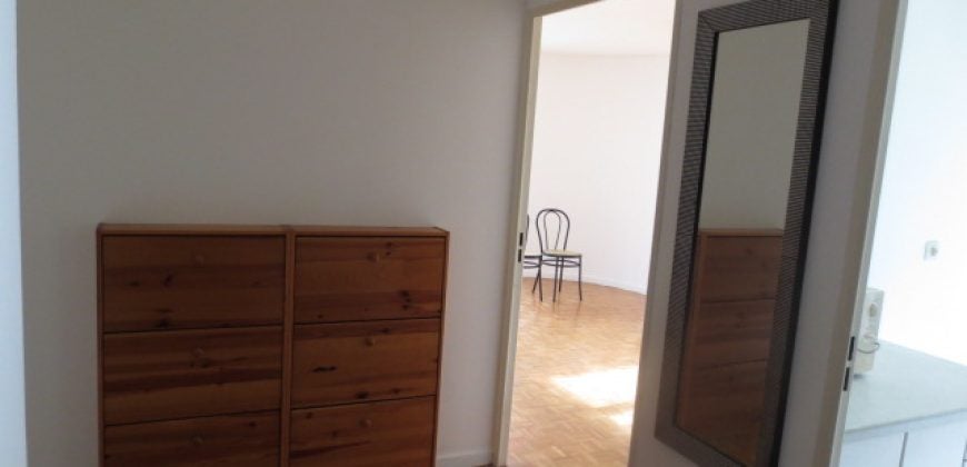 Appartement Avenue Félix Faure à Lyon