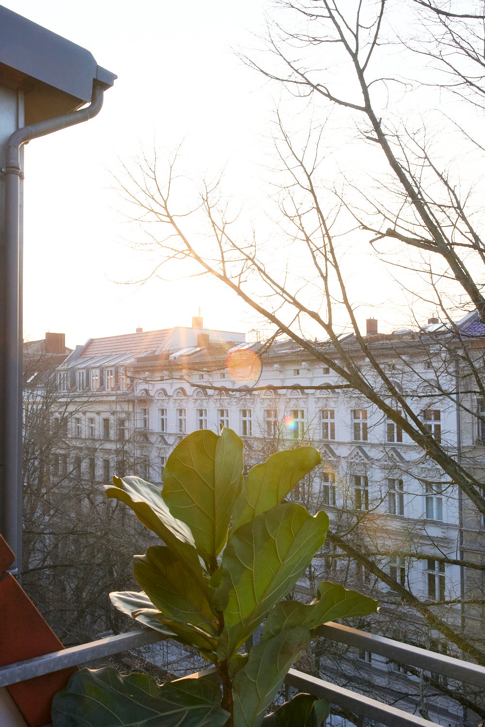 Wohnung Liegnitzer Straße in Berlin
