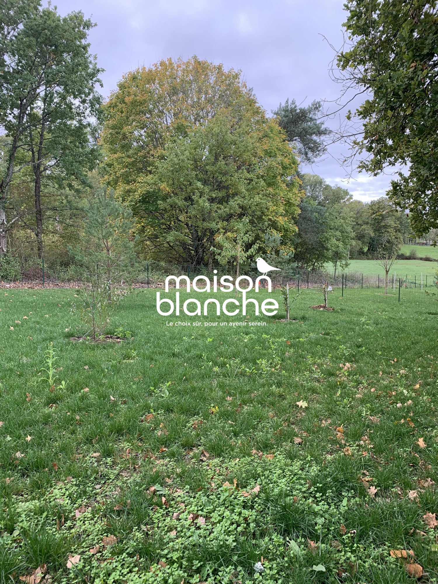 House Allée du Clos de Mosny in Amboise