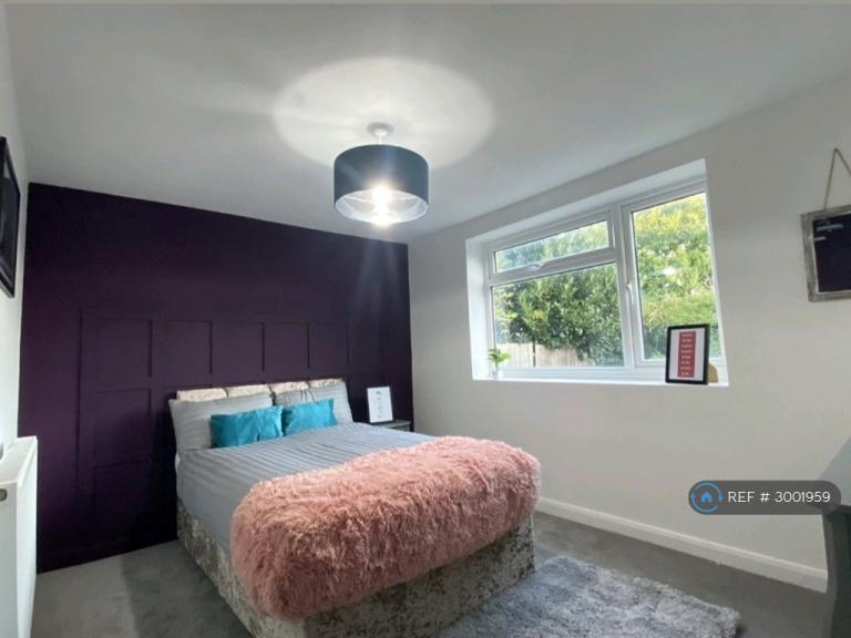 Room Bourne Court in Colchester