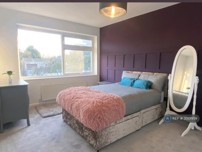 Room Bourne Court in Colchester