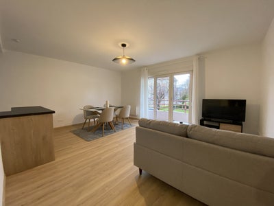 Appartement Rue des Cèdres à Strasbourg