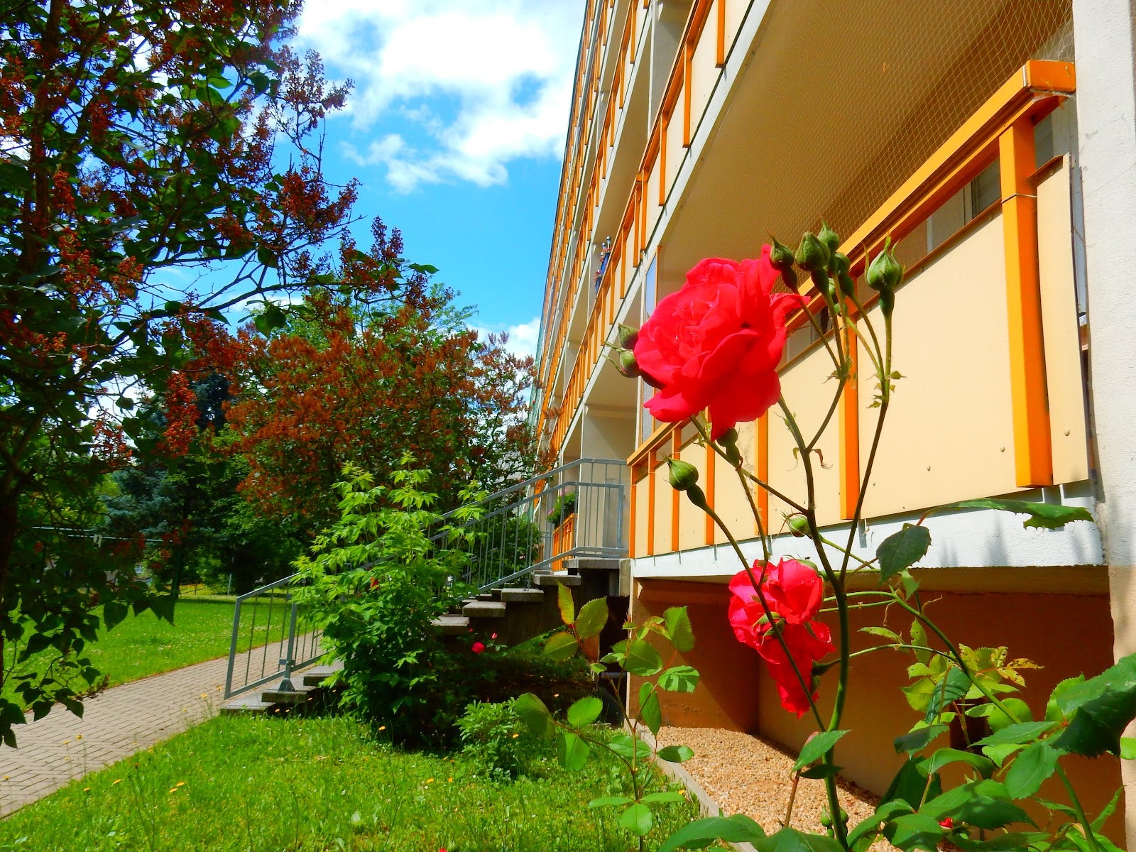 Wohnung Ostring in Görlitz