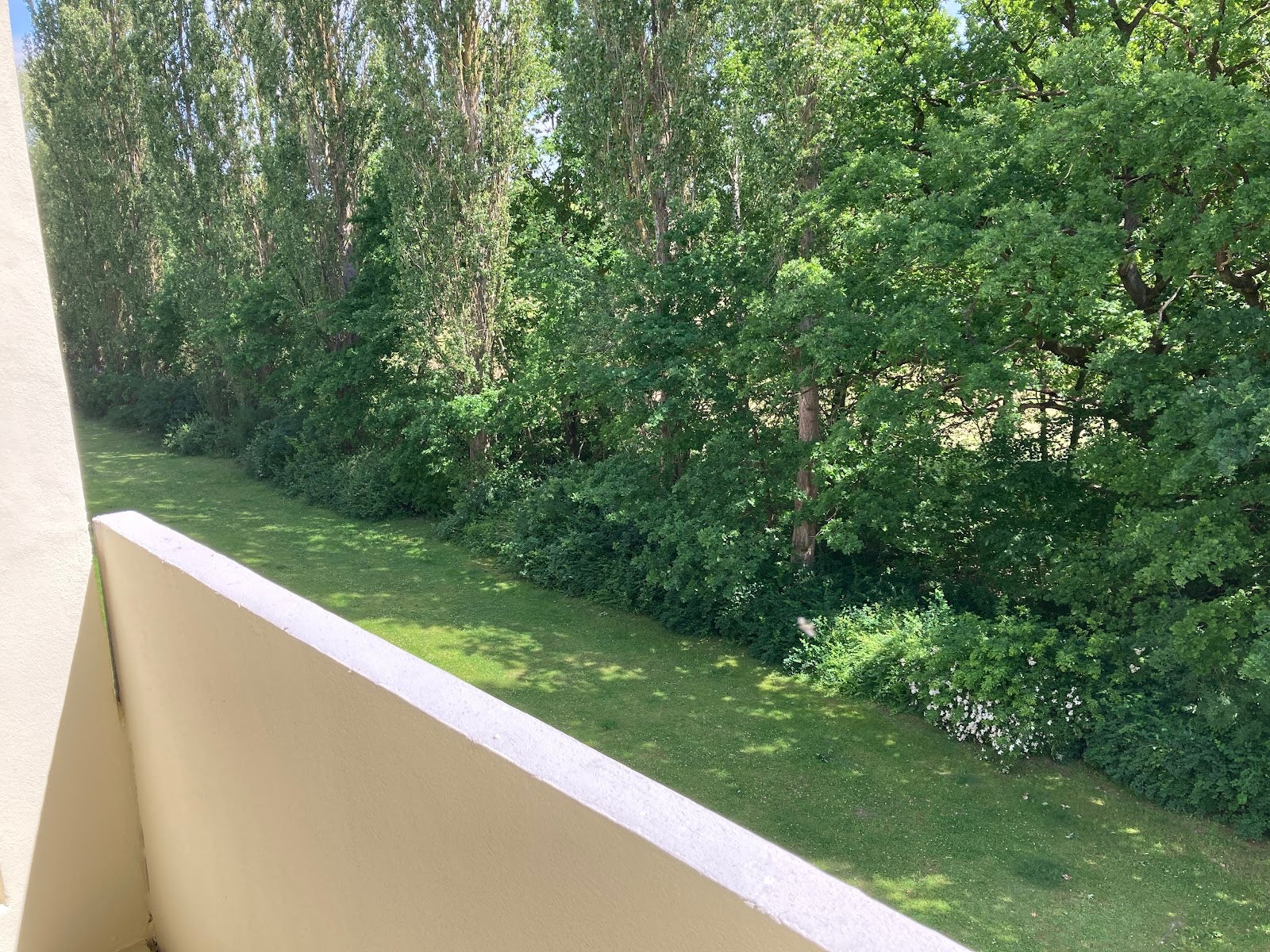 Wohnung Plantagenweg in Hagenow