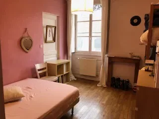 Flat Rue Auguste Comte in Lyon
