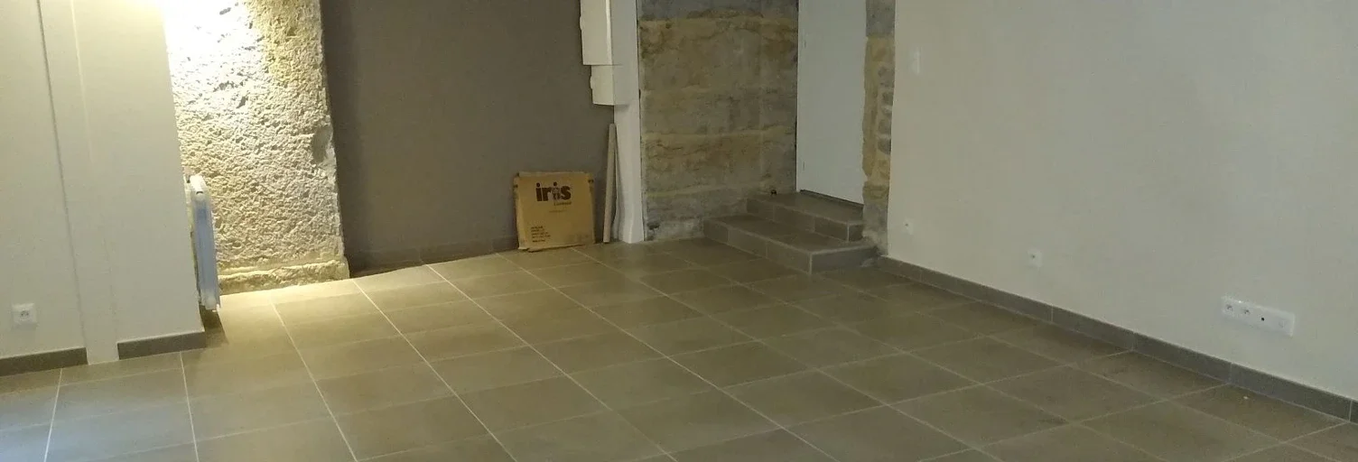 Flat Rue René Leynaud in Lyon