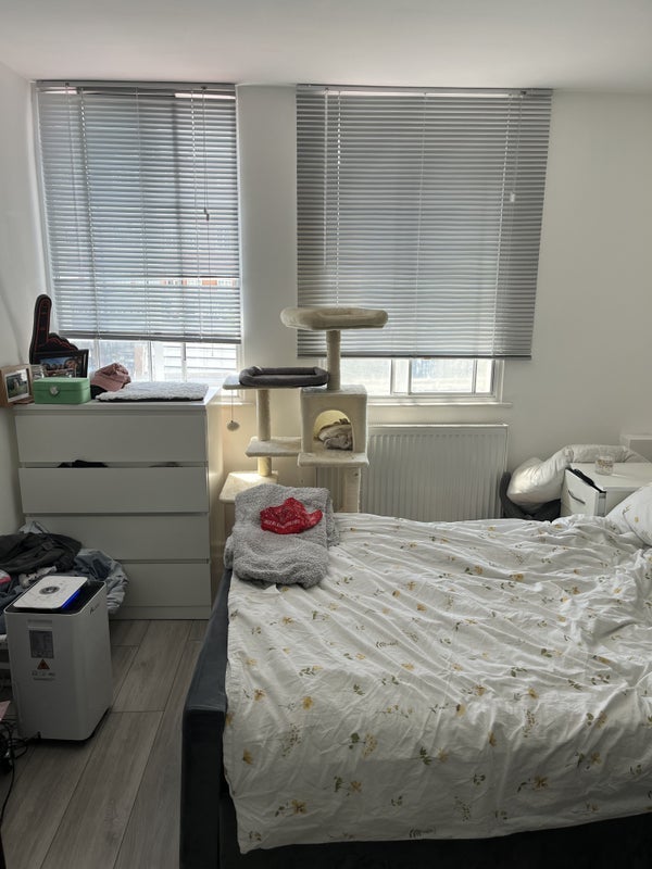 Room Bowman's Mews in Greater London