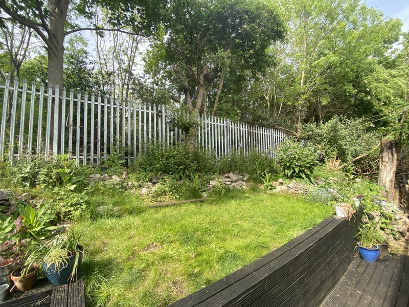 Room Ashfield Road in Greater London