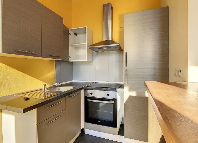 Appartement Rue Barthélémy Delespaul à Lille
