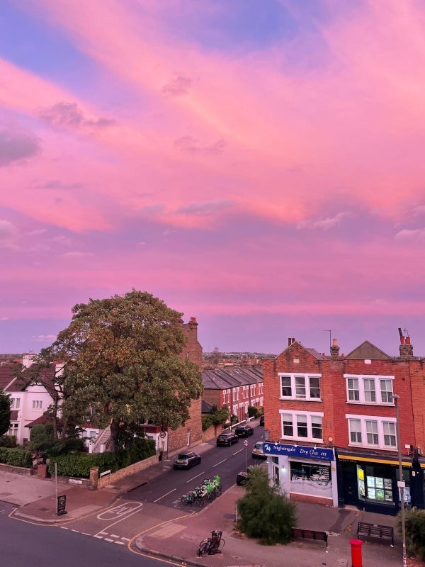 Room Nightingale Lane in Greater London