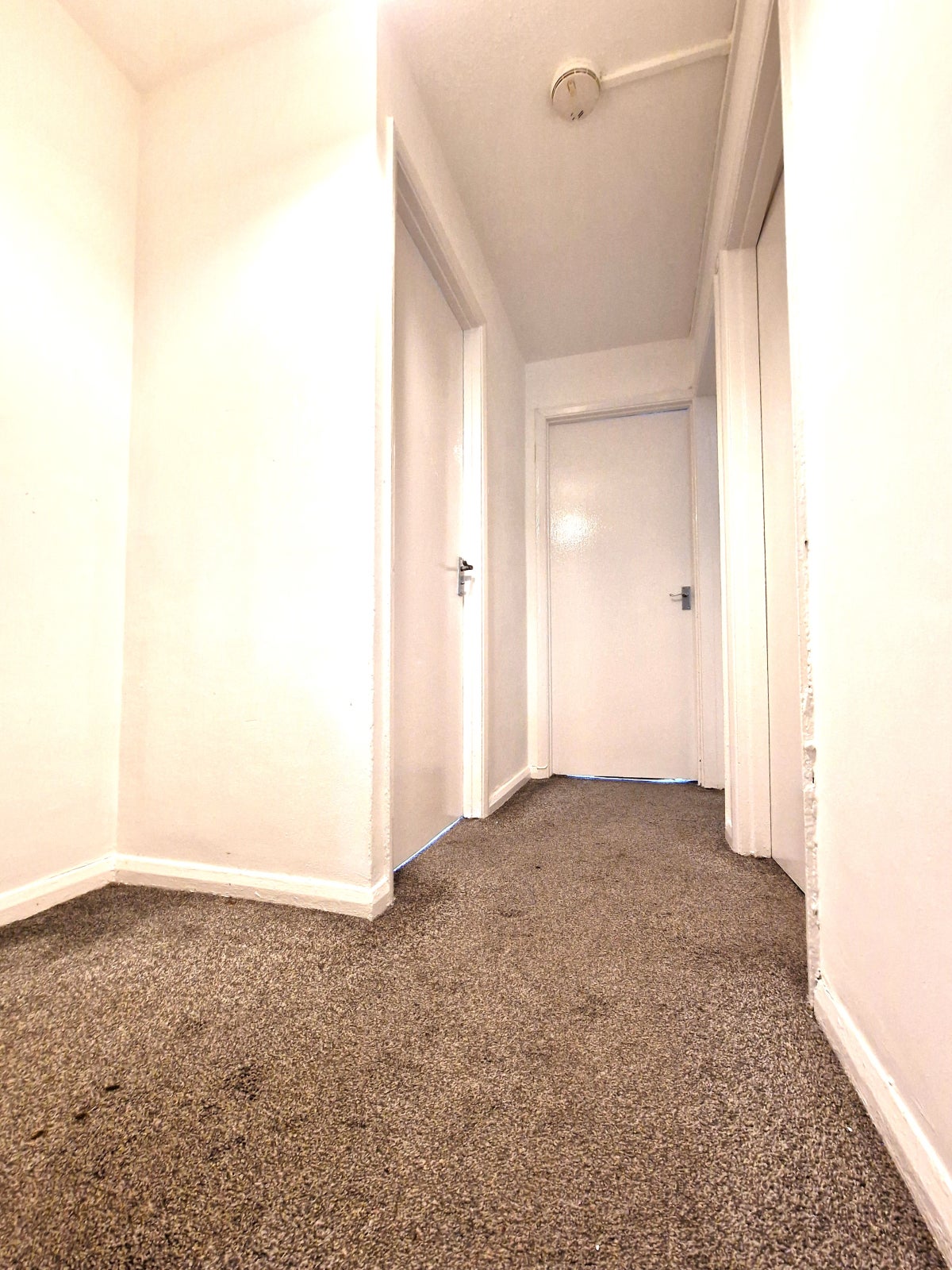 Flat Moulton Rise in Luton