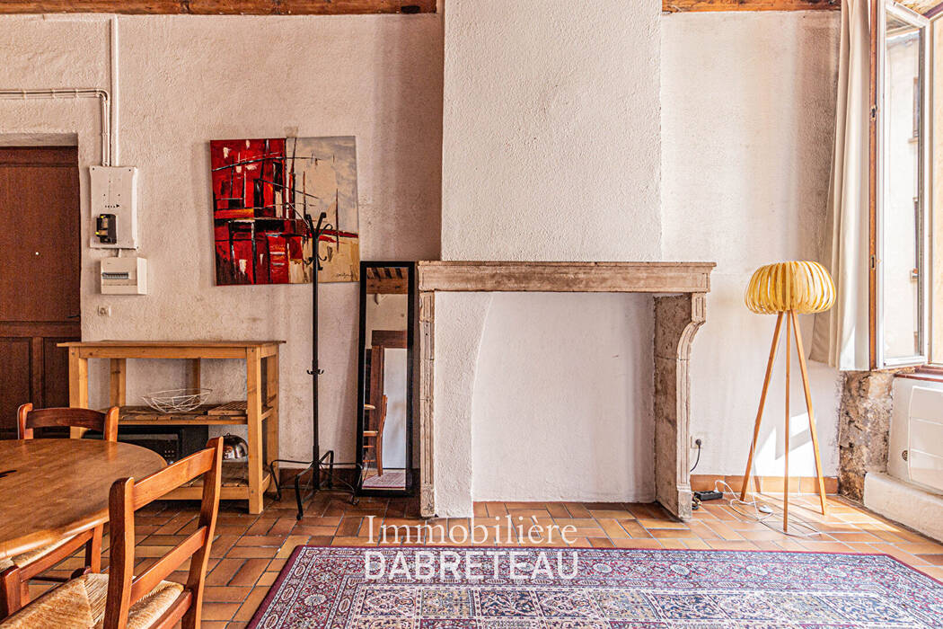 Appartement Rue Imbert Colomès à Lyon