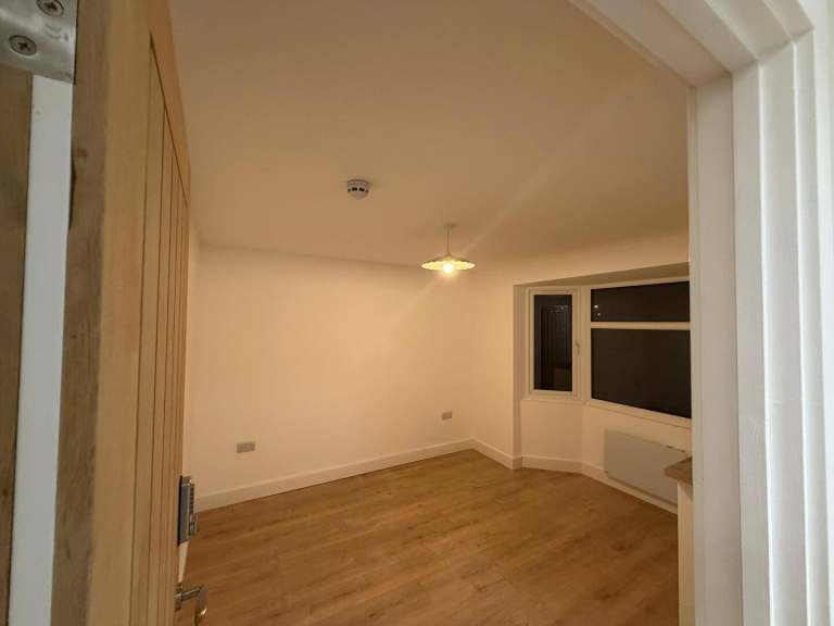 Flat Turkey Street in Greater London