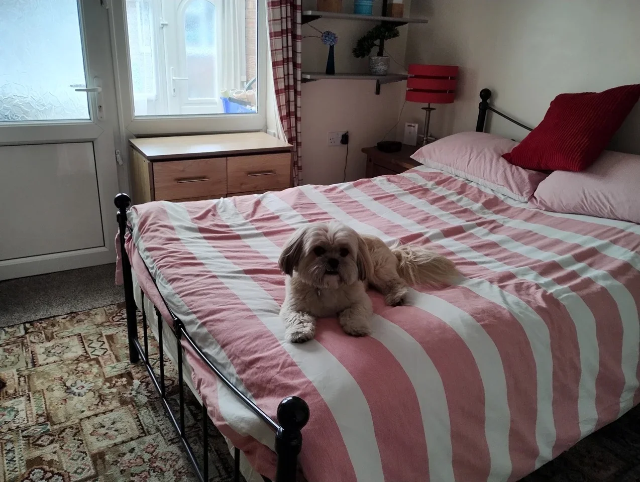 Room Lexington Drive in Hull