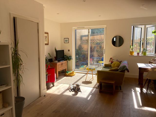 Room Crystal Palace Road in Greater London