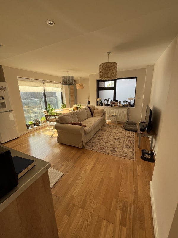 Flat Coldharbour Lane in Greater London