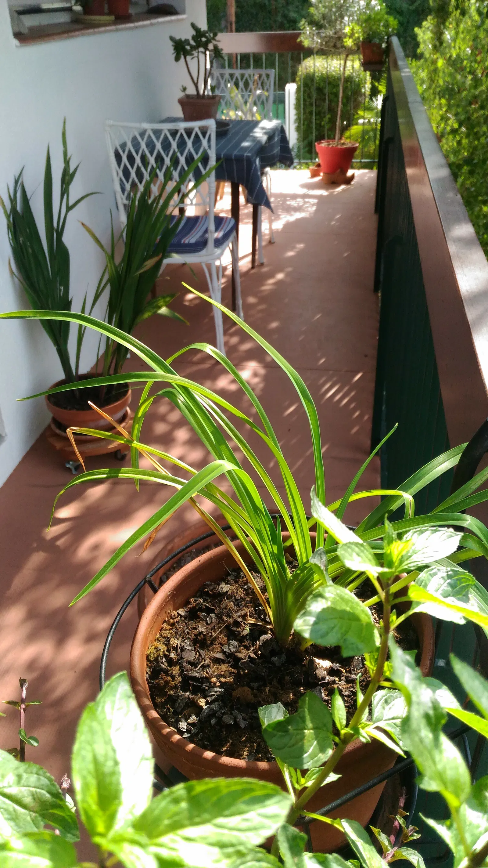 Room Route de Fillols in Vernet-les-Bains