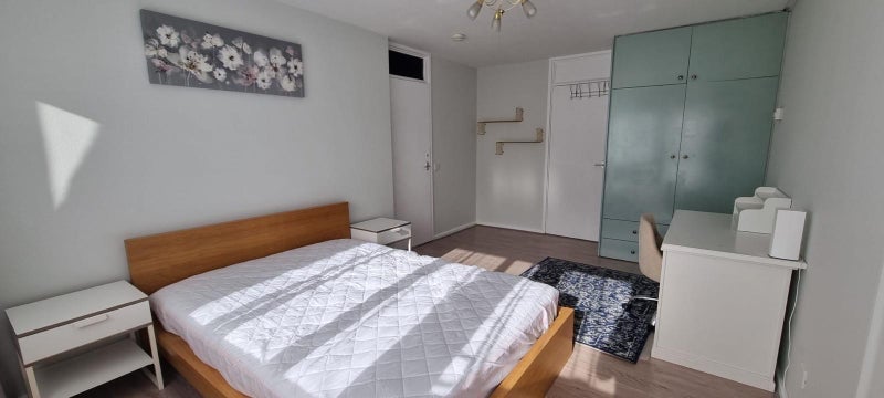 Room Lucey Way in Greater London