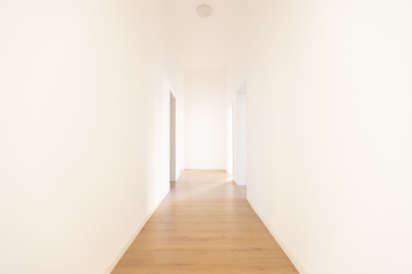 Wohnung Wittenberger Straße in Torgau