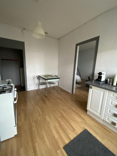 Appartement Rue François Albert à Saint-Étienne