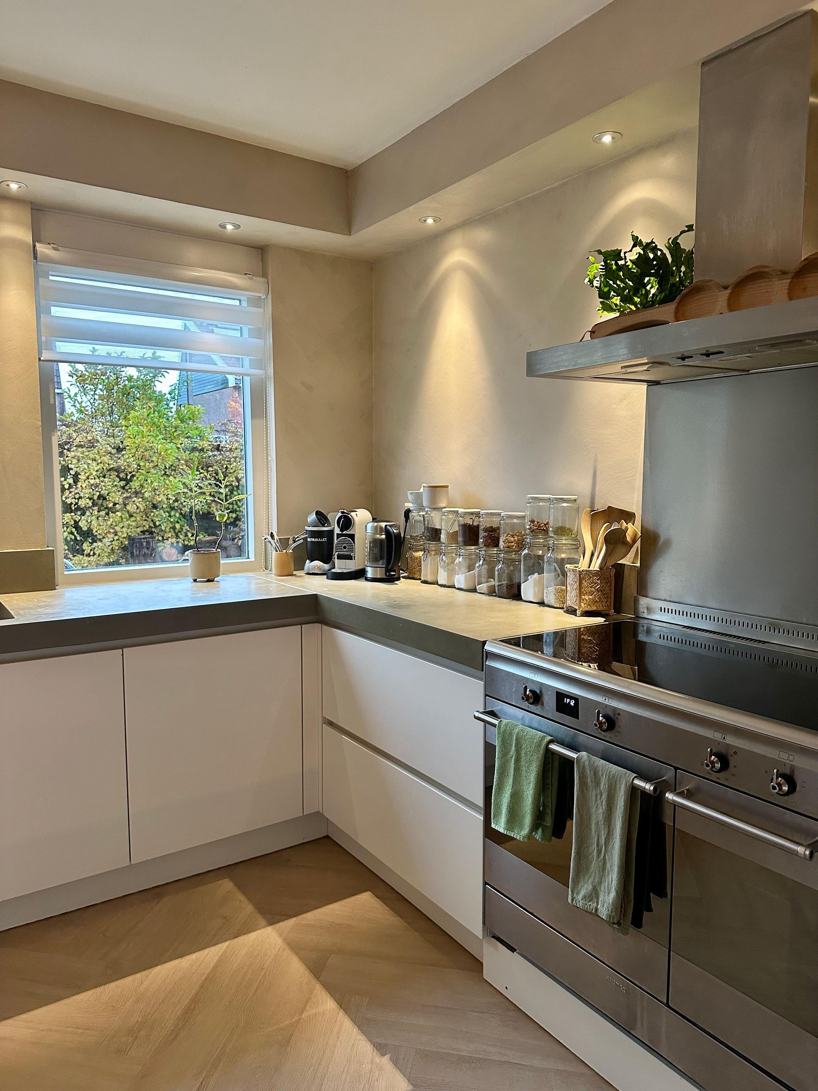 Woning te huur: Domineestuin, Zaandijk