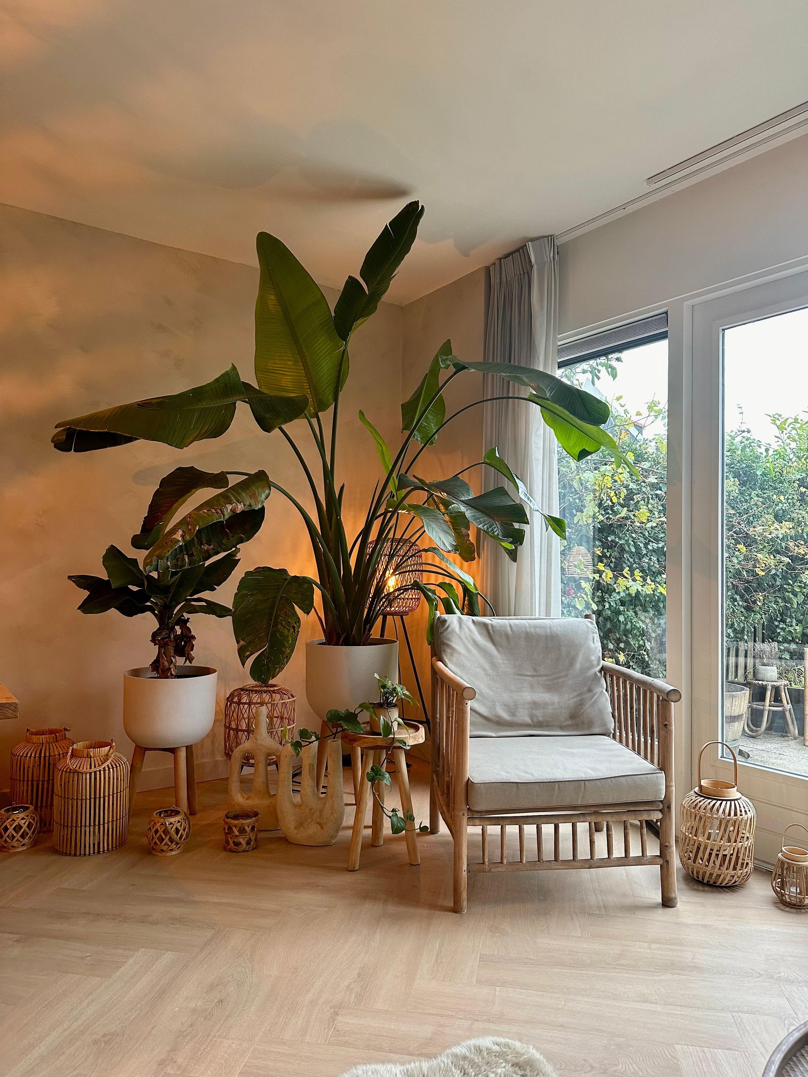 Woning te huur: Domineestuin, Zaandijk