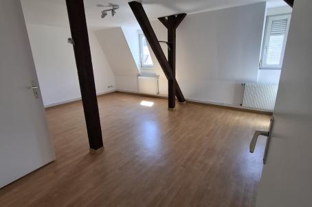 Flat Rue Charles Appell in Strasbourg
