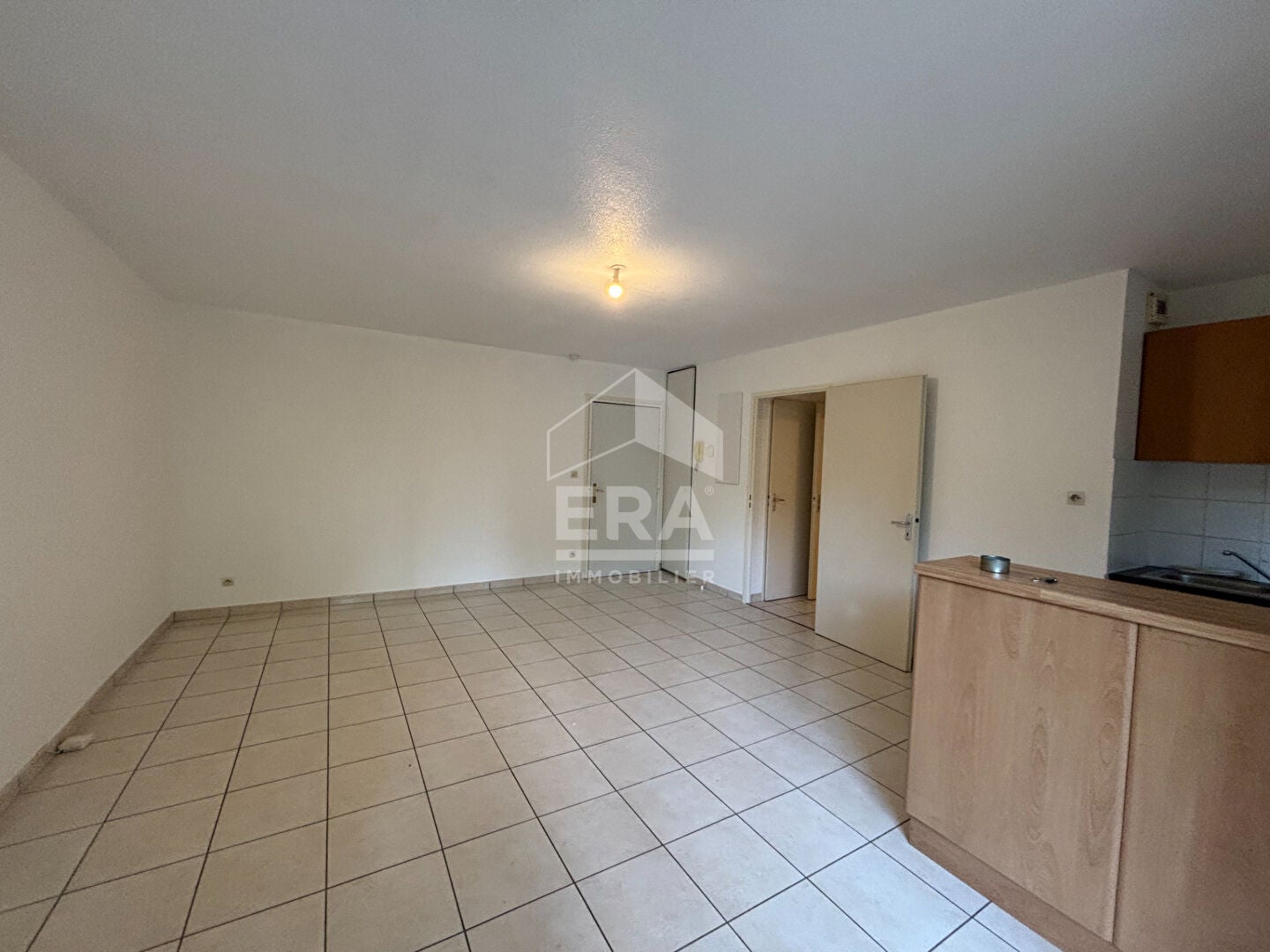Appartement Chemin de la Plaine Andrau à Aucamville