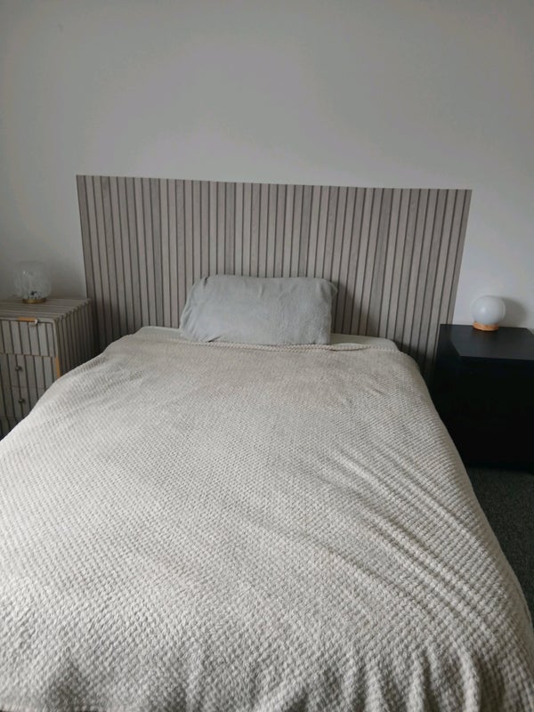 Room Mansfield Road in Sheffield