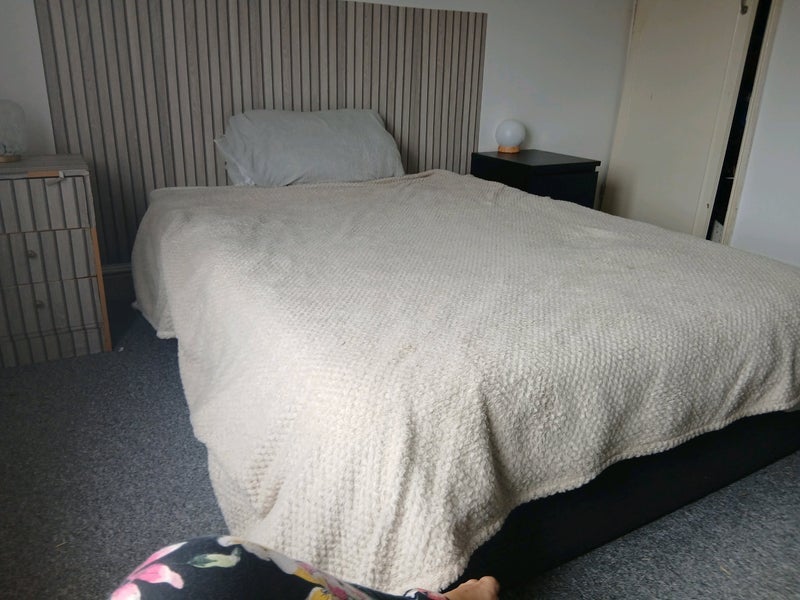 Room Mansfield Road in Sheffield
