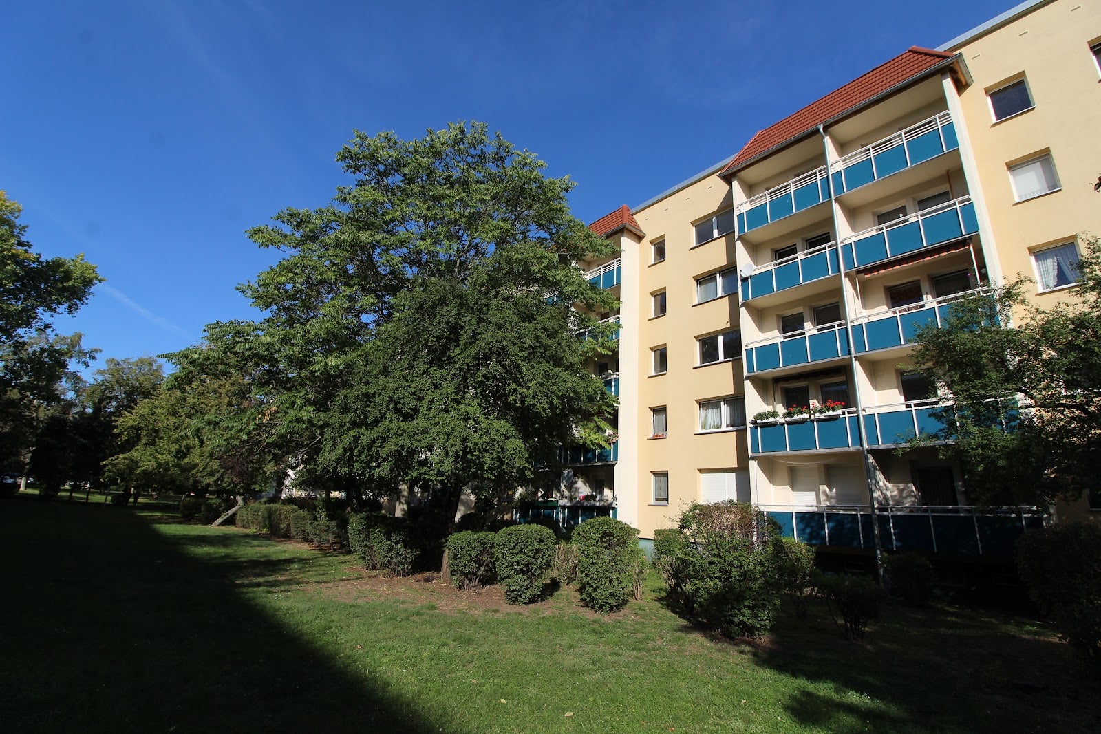 Wohnung Johann-Gottfried-Schadow-Straße in Halle (Saale)