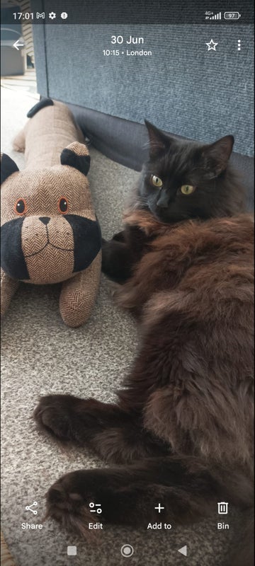 Flat Hammersmith Grove in Greater London