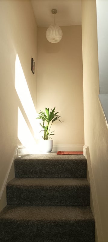 Flat Hammersmith Grove in Greater London
