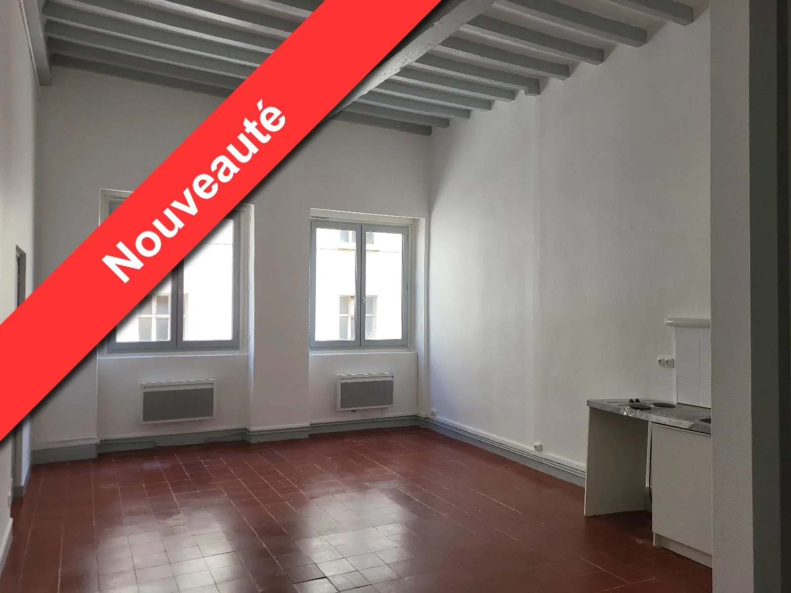 Flat Rue Masson in Lyon