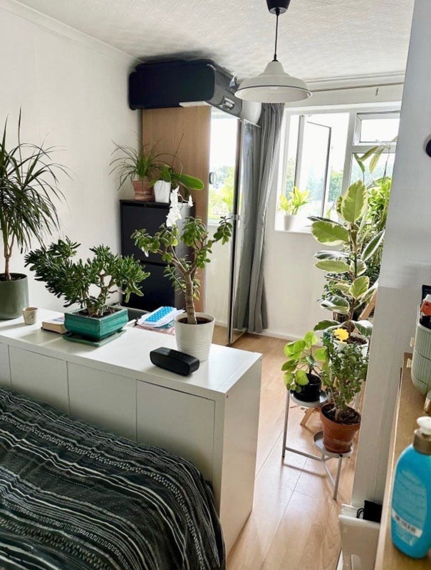 Room Glengall Grove in Greater London