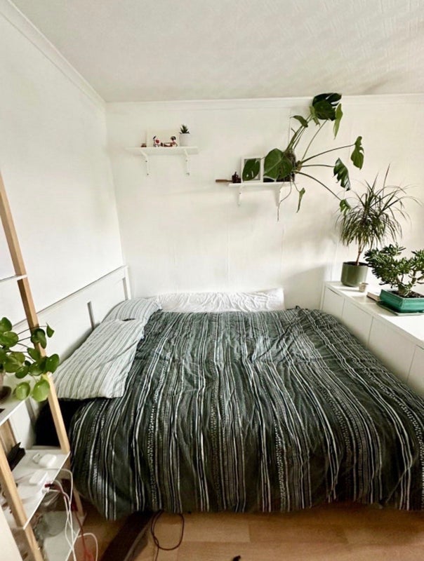 Room Glengall Grove in Greater London