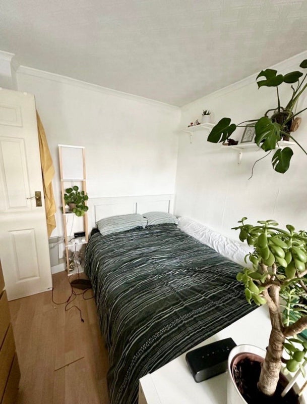Room Glengall Grove in Greater London