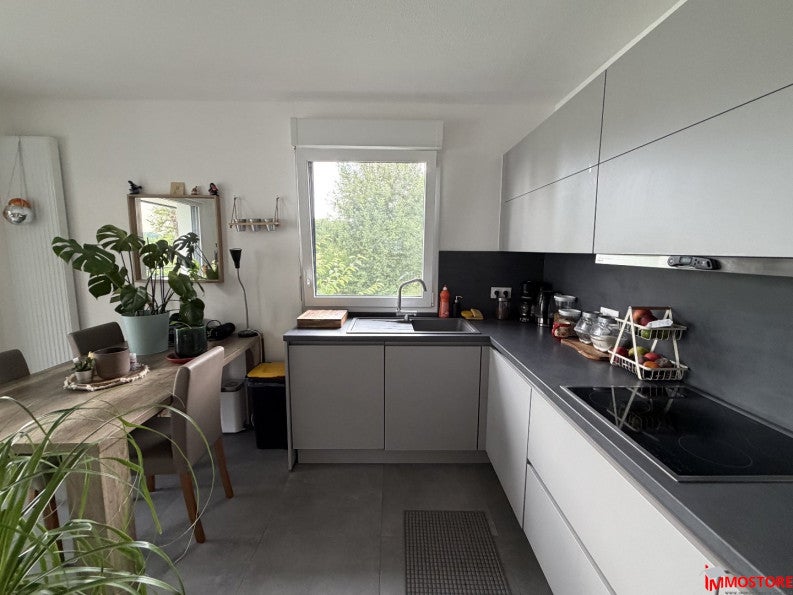 Appartement Chemin de Heiligenbrunn à Hagenthal-le-Haut