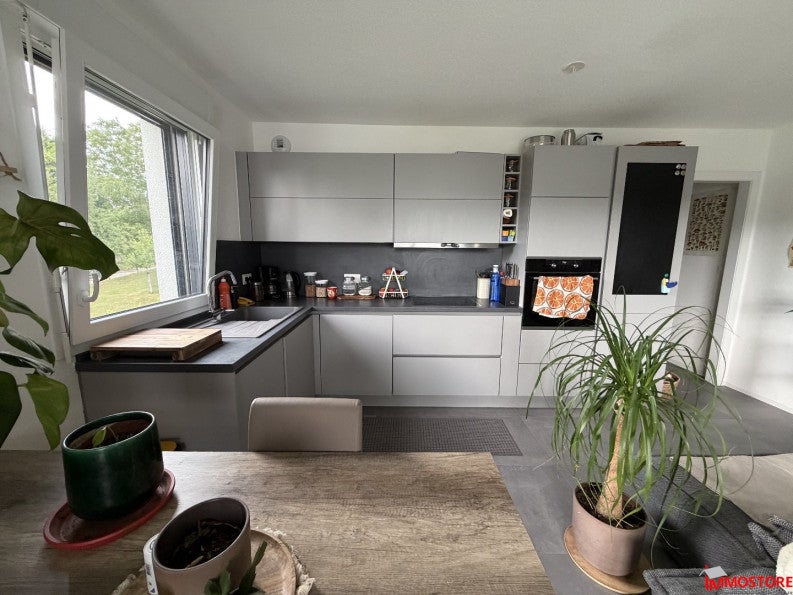 Appartement Chemin de Heiligenbrunn à Hagenthal-le-Haut