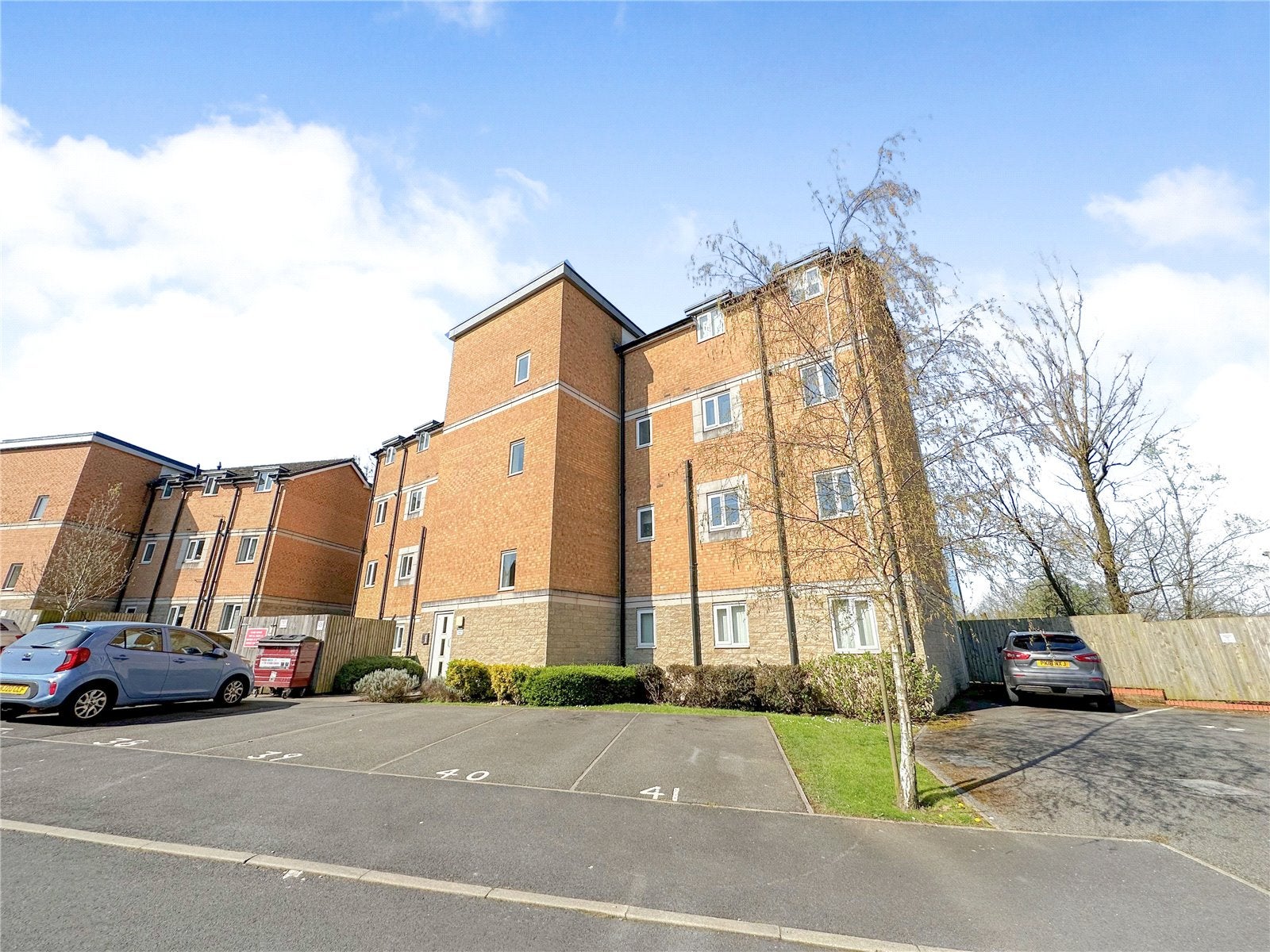 Flat Harrier Close in Horwich