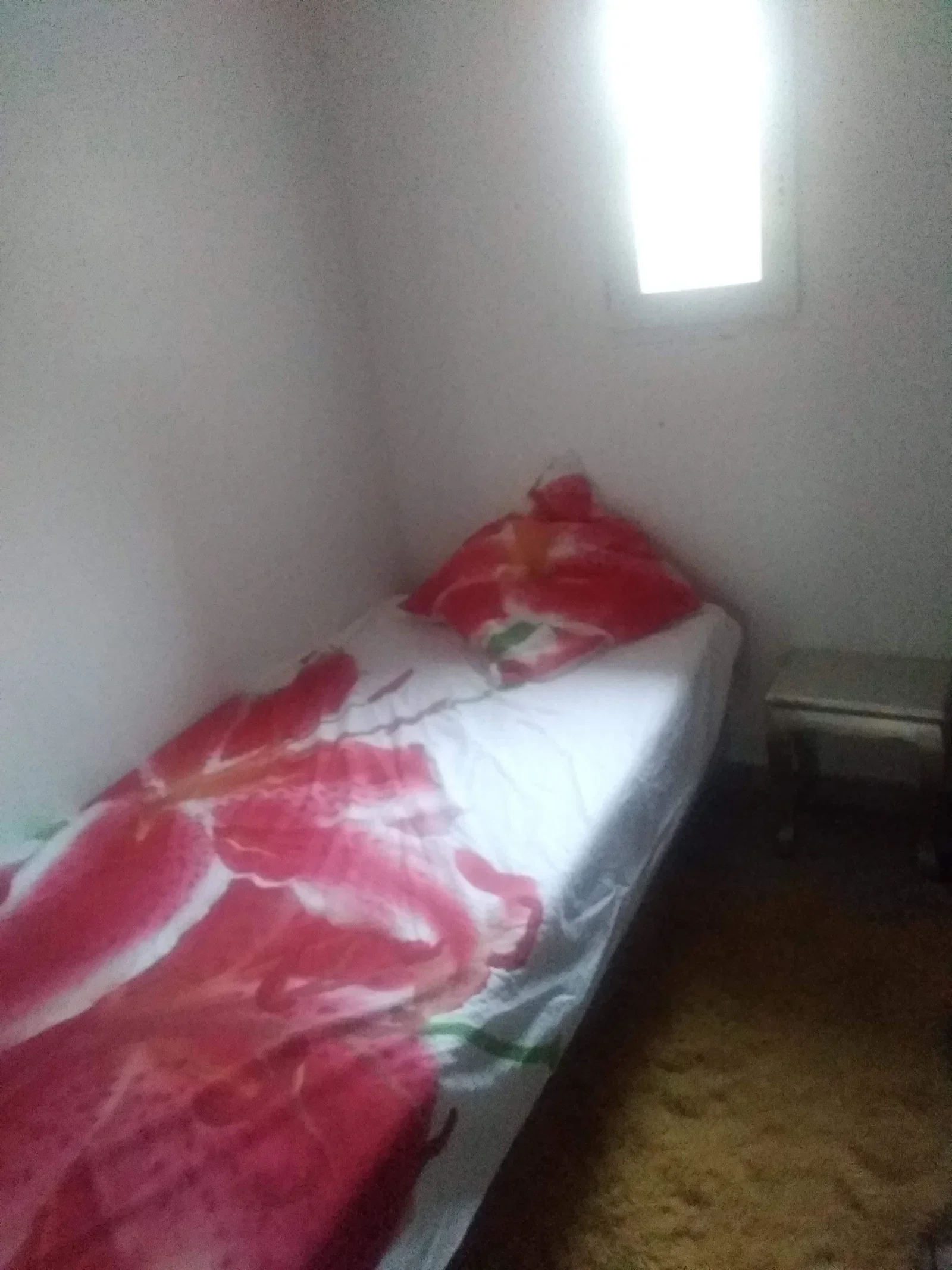 Chambre Avenue du Docteur Alexander Fleming à Martigues
