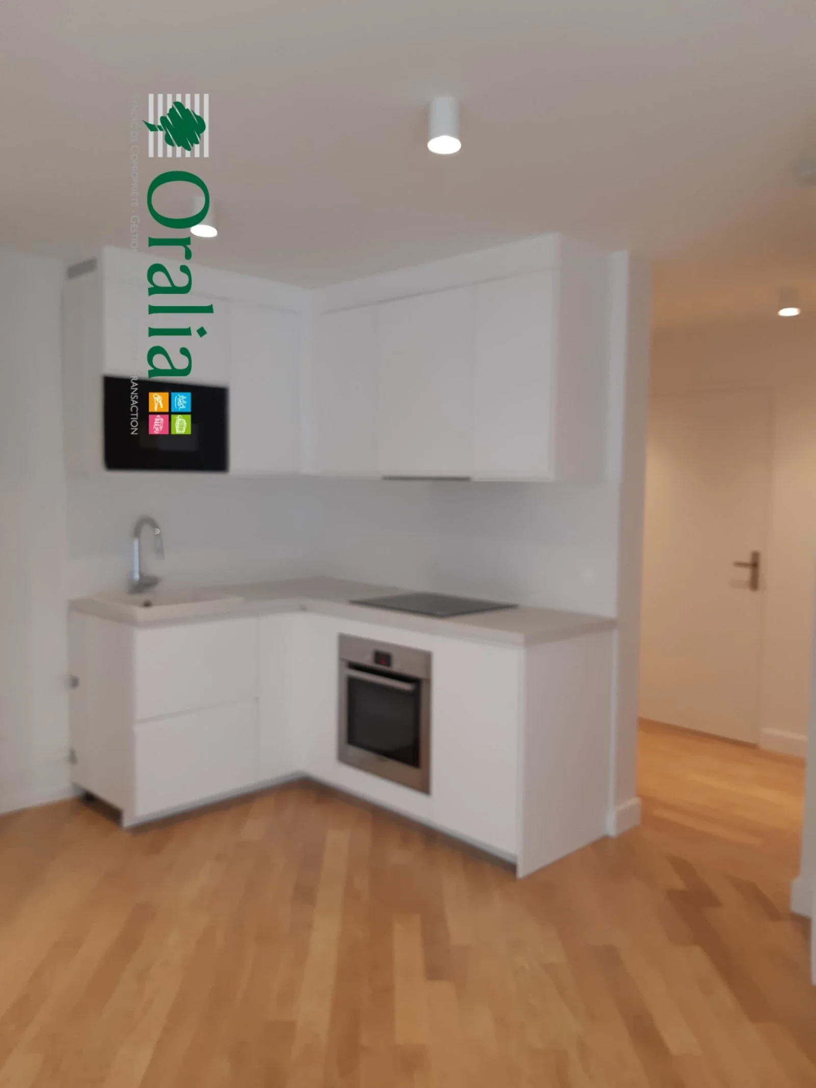 Appartement Rue Mirabeau à Paris