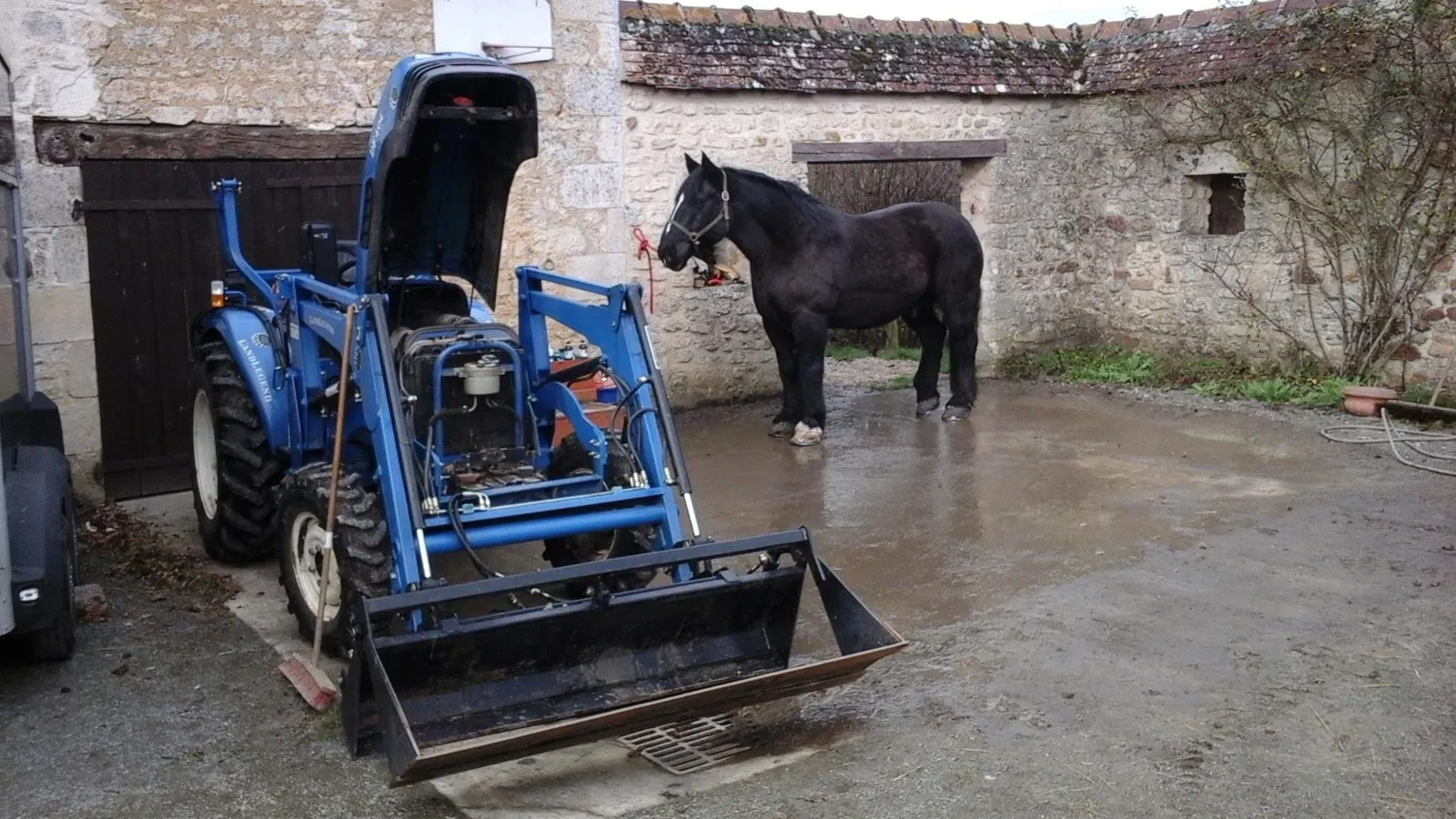 Chambre D 16 à Villeneuve-en-Perseigne